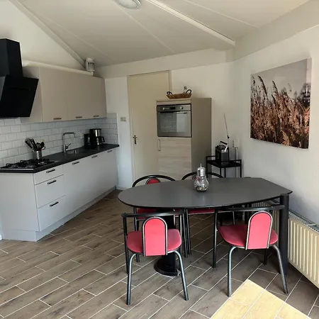 Zeester 073 * Julianadorp